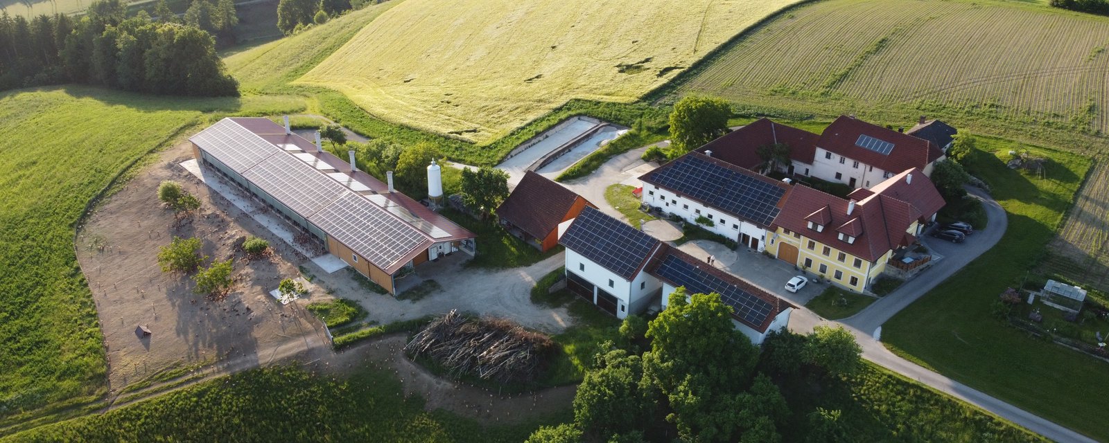 Luftaufnahme des Hofes Zellhofer in St. Thomas am Blasenstein